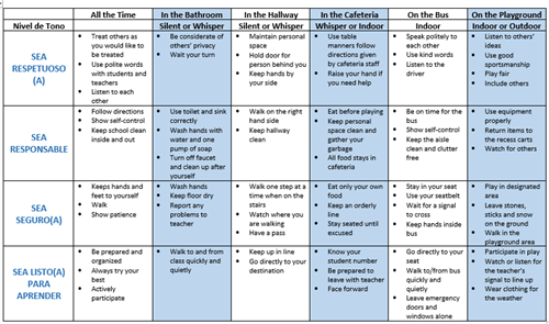 Behavior Matrix Spanish 